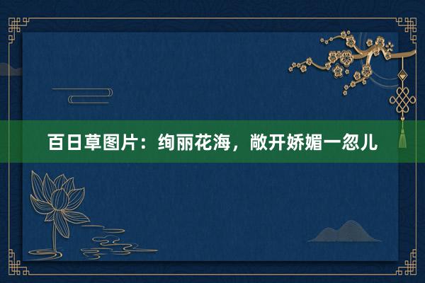百日草图片：绚丽花海，敞开娇媚一忽儿